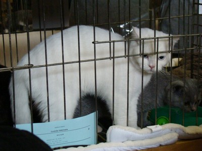 20121021_55 (Expo)